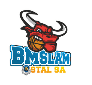 BM Slam Stal Ostrów Wlkp.