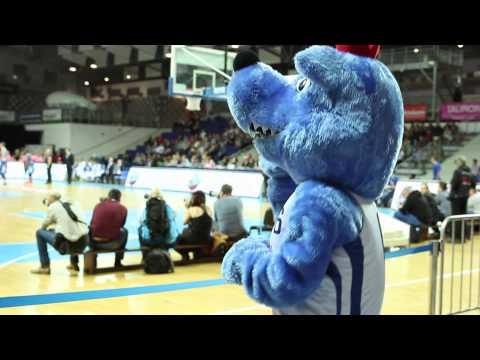 [KULISY] King Wilki Morskie  - Anwil Włocławek 77:78