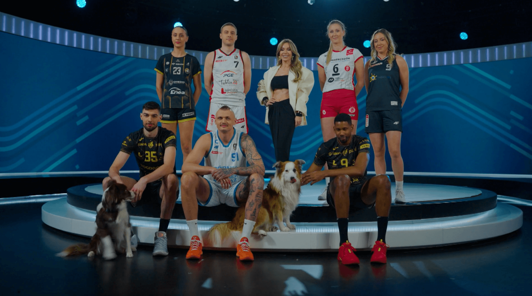 „Adoptuj Mistrza” - łączymy siły na rzecz bezdomnych zwierząt