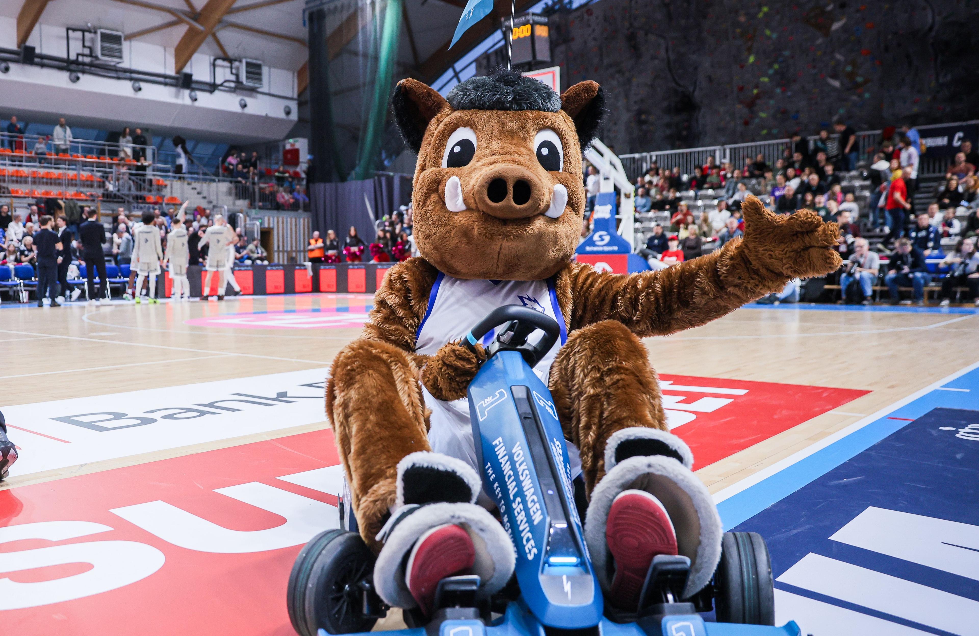 Medżik zachwyca podczas meczów Dzików!