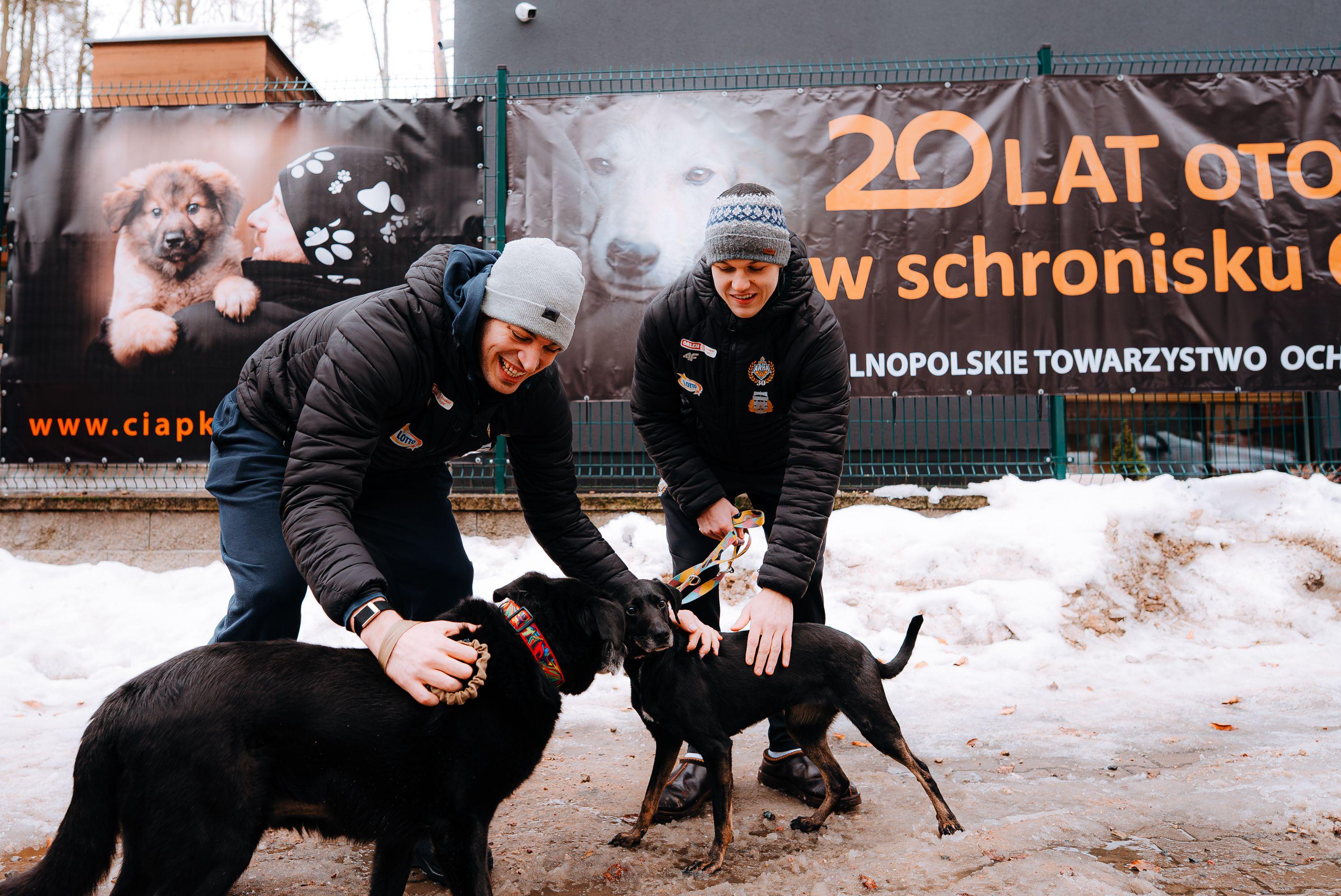 Adopcja Mistrza, a może Spacer z Mistrzem?